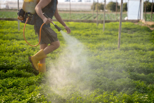 Best Affordable Pest Control Services  in Red Lake, MN
