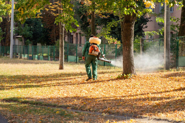 Best Pest Prevention Services  in Red Lake, MN