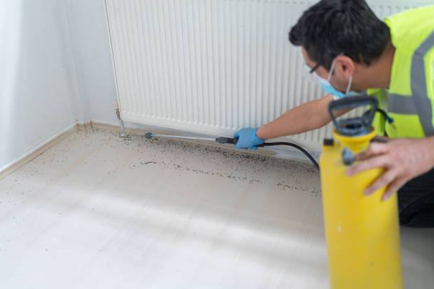 Best Termite Control Services  in Red Lake, MN
